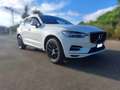 Volvo XC60 2.0 T8 Business Plus AWD  Geartronic MY21 Bianco - thumbnail 1