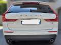 Volvo XC60 2.0 T8 Business Plus AWD  Geartronic MY21 Bianco - thumbnail 5