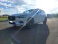 Volvo XC60 2.0 T8 Business Plus AWD  Geartronic MY21 Bianco - thumbnail 2