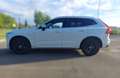 Volvo XC60 2.0 T8 Business Plus AWD  Geartronic MY21 Bianco - thumbnail 4