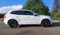 Volvo XC60 2.0 T8 Business Plus AWD  Geartronic MY21 Bianco - thumbnail 3
