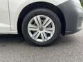 Volkswagen Caddy Basis 1,5 TSI KLIMA LED NAV SHZ PDC Weiß - thumbnail 12