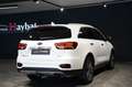 Kia Sorento Platinum 4WD Pano 360 H&K HuD ACC AHK Blanc - thumbnail 7