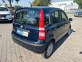 Fiat Panda 1.2 8V MyLive Klima 1-Hand Bleu - thumbnail 14