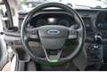 Ford Transit 350 L2 Trend/ACC/ FACELIFT /RKamera Blanc - thumbnail 11