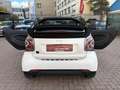 smart forTwo fortwo Cabrio EQ*EXCL*60kW**LEDER*JBL*KAM*22kW Gris - thumbnail 25