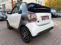 smart forTwo fortwo Cabrio EQ*EXCL*60kW**LEDER*JBL*KAM*22kW Gris - thumbnail 14