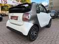 smart forTwo fortwo Cabrio EQ*EXCL*60kW**LEDER*JBL*KAM*22kW Grau - thumbnail 15