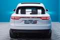 Porsche Cayenne 3.0 340CV Blanco - thumbnail 20