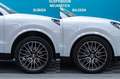 Porsche Cayenne 3.0 340CV Blanco - thumbnail 15