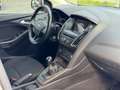 Ford Focus Turnier Business mit Navigation Weiß - thumbnail 9