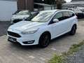Ford Focus Turnier Business mit Navigation Weiß - thumbnail 3