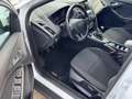 Ford Focus Turnier Business mit Navigation Weiß - thumbnail 6