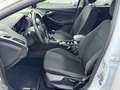 Ford Focus Turnier Business mit Navigation Weiß - thumbnail 7
