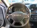 Dacia Spring Essential ELECTRIC 45 KLIMA*RADIO*TEMPOMAT Grau - thumbnail 10