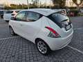 Lancia Ypsilon 0.9 TwinAir 85 CV 5 porte Metano Ecochic Gold Bianco - thumbnail 6