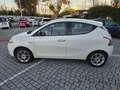 Lancia Ypsilon 0.9 TwinAir 85 CV 5 porte Metano Ecochic Gold Bianco - thumbnail 7