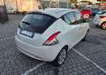 Lancia Ypsilon 0.9 TwinAir 85 CV 5 porte Metano Ecochic Gold Bianco - thumbnail 4