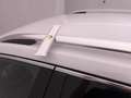 Skoda Superb 2.0 tdi evo Scout 4x4 200cv dsg Bianco - thumbnail 36