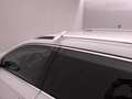 Skoda Superb 2.0 tdi evo Scout 4x4 200cv dsg Bianco - thumbnail 35
