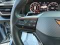 CUPRA Formentor Formentor 2.0 TDI 4Drive DSG Grigio - thumbnail 11