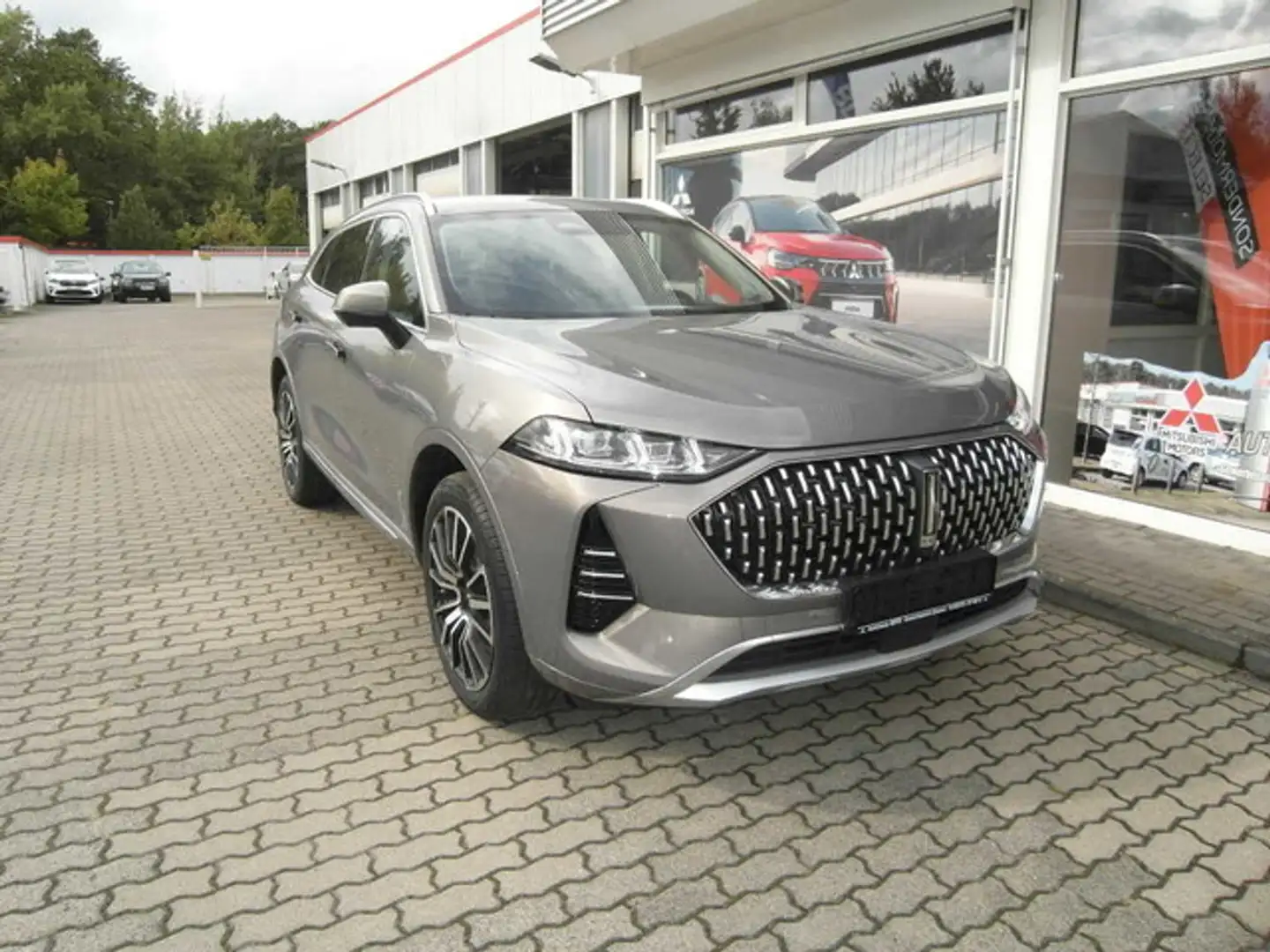 Sonstige Marken GWM WEY 05 Premium Grau - 1