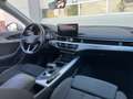 Audi A4 Avant 40 TDI advanced S-tronic Quattro|FACELIFT... Weiß - thumbnail 10