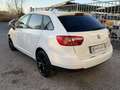 SEAT Ibiza ST 1.2 tdi 75 Cv Style Bianco - thumbnail 4