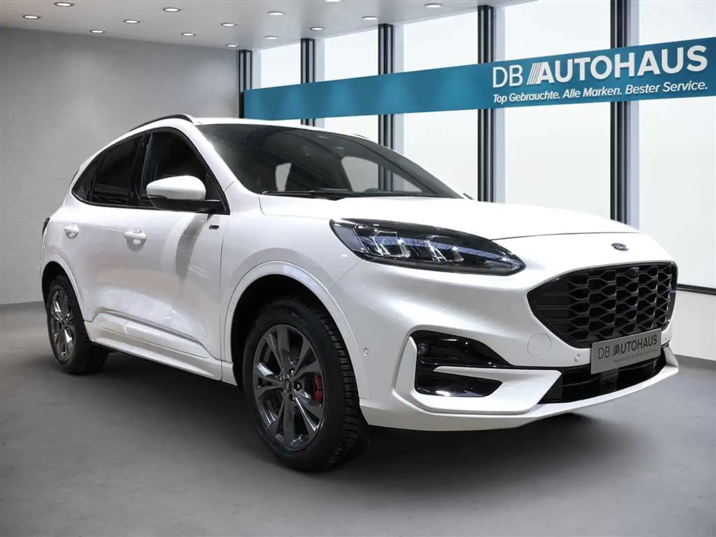 Ford Kuga ST-Line 2.5 DuraTec PHEV Autom Bianco - 2