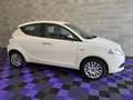 Lancia Ypsilon Ypsilon 2014 1.2 8v *UNICO PROPRIETARIO* Bianco - thumbnail 3