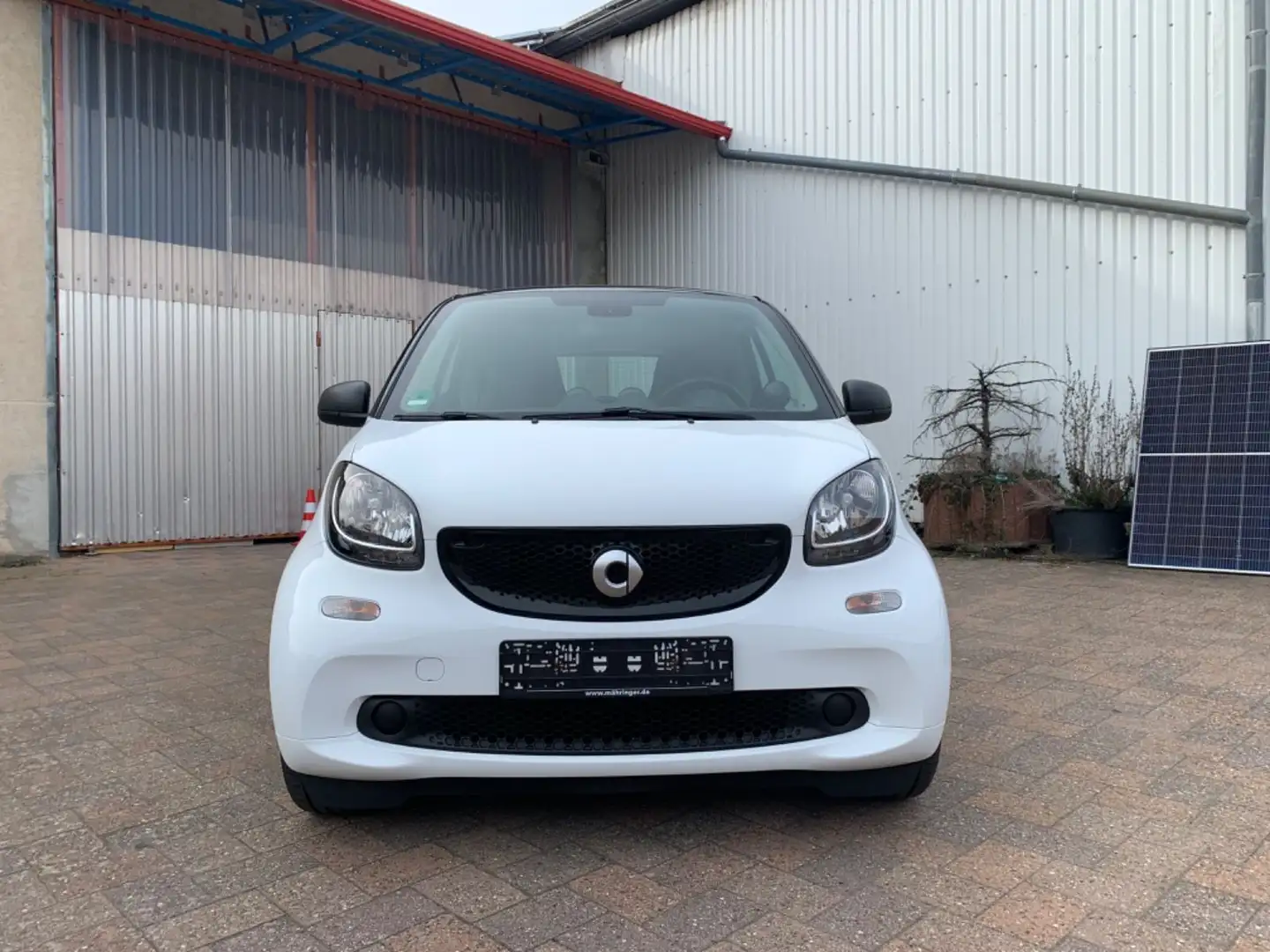 smart forTwo 66 KW**Passion**Klima**Pano**LMR**TOP** Weiß - 2