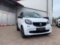 smart forTwo 66 KW**Passion**Klima**Pano**LMR**TOP** Weiß - thumbnail 3