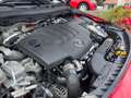Mercedes-Benz B 200 d Aut. Rood - thumbnail 26