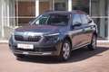 Skoda Kamiq 1.0 Ambition LED SmartLink Sitzheizung PDC Grau - thumbnail 2