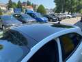 Ford Puma 1.0 EcoBoost Hybrid 125 CV S&S Titanium Bianco - thumbnail 8