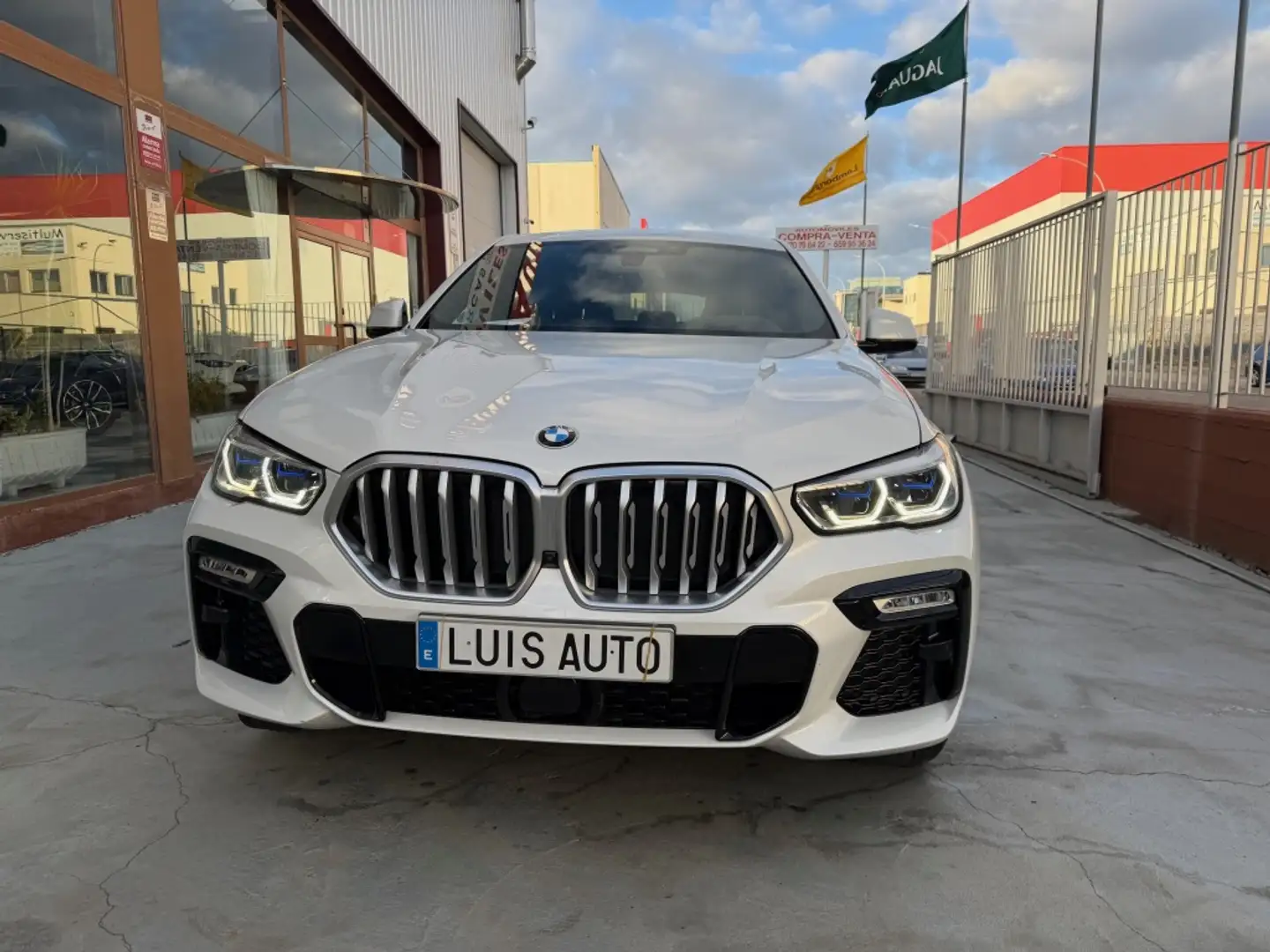 BMW X6 xDrive 30dA xLine Blanco - 2