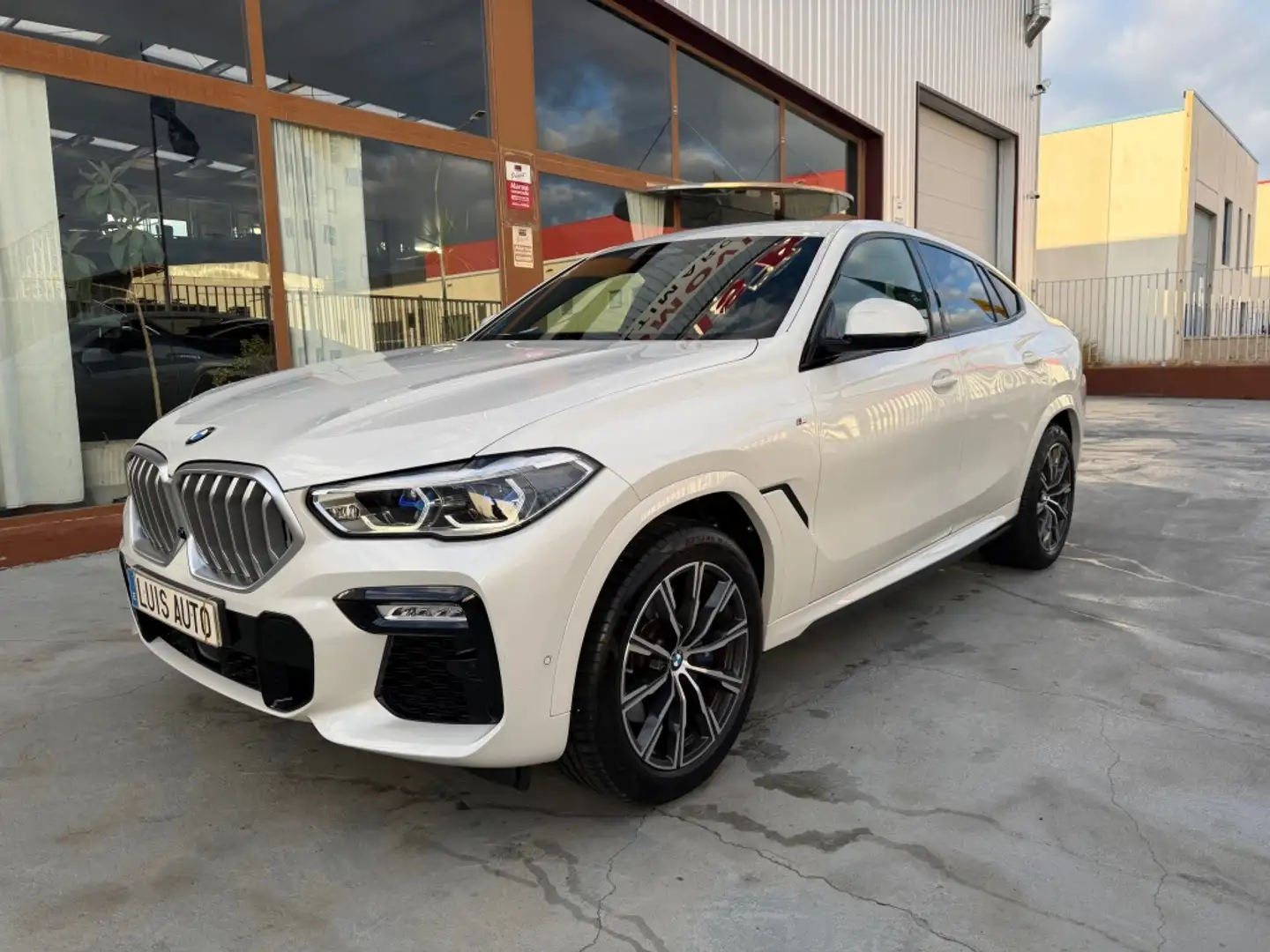 BMW X6 xDrive 30dA xLine Blanco - 1