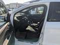 Ford Kuga ST-Line Weiß - thumbnail 3