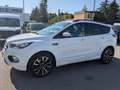 Ford Kuga ST-Line Weiß - thumbnail 2