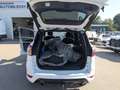 Ford Kuga ST-Line Weiß - thumbnail 12