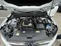 Volkswagen T-Roc Cabriolet ENERGY 1.0 l TSI OPF  6-Gang ACC Weiß - thumbnail 10