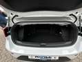 Volkswagen T-Roc Cabriolet ENERGY 1.0 l TSI OPF  6-Gang ACC Weiß - thumbnail 7