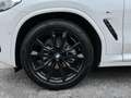 BMW X4 xDrive 20dA xLine Bianco - thumbnail 36