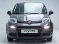 Fiat Panda Base 1.0 Mild Hybrid Klima BT Freisprech Grey - thumbnail 12