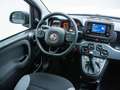 Fiat Panda Base 1.0 Mild Hybrid Klima BT Freisprech Grey - thumbnail 13