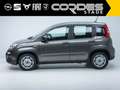 Fiat Panda Base 1.0 Mild Hybrid Klima BT Freisprech Grau - thumbnail 2