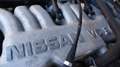 Nissan Terrano 3.0i V6 cat 5 porte ASI Gris - thumbnail 35
