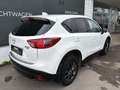 Mazda CX-5 CD150 MIYAKO Edition Aut. / ALLRAD / XENON / NAVI Weiß - thumbnail 5