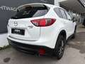 Mazda CX-5 CD150 MIYAKO Edition Aut. / ALLRAD / XENON / NAVI Weiß - thumbnail 4