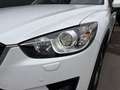 Mazda CX-5 CD150 MIYAKO Edition Aut. / ALLRAD / XENON / NAVI Weiß - thumbnail 8